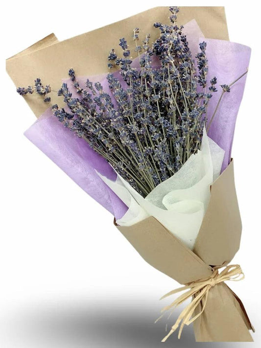 Only Lavenders - Flowerplus.Co