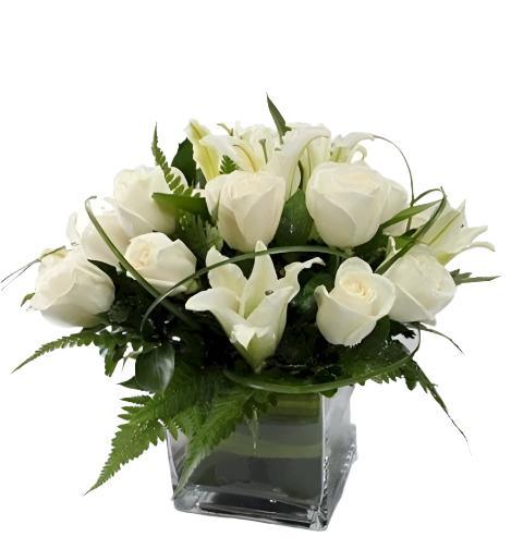 Calm Solace - Flowerplus.Co