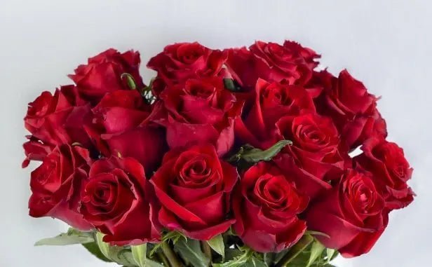 🌹 999 Roses – Everlasting Love (PREMIUM KENYA ROSES)🌹