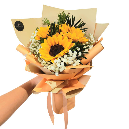 Blushing Sunshine - Flowerplus.Co