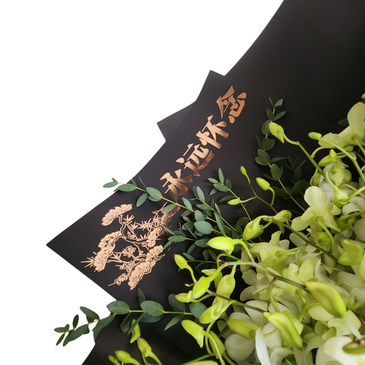 White peaceful Orchid - Flowerplus.Co