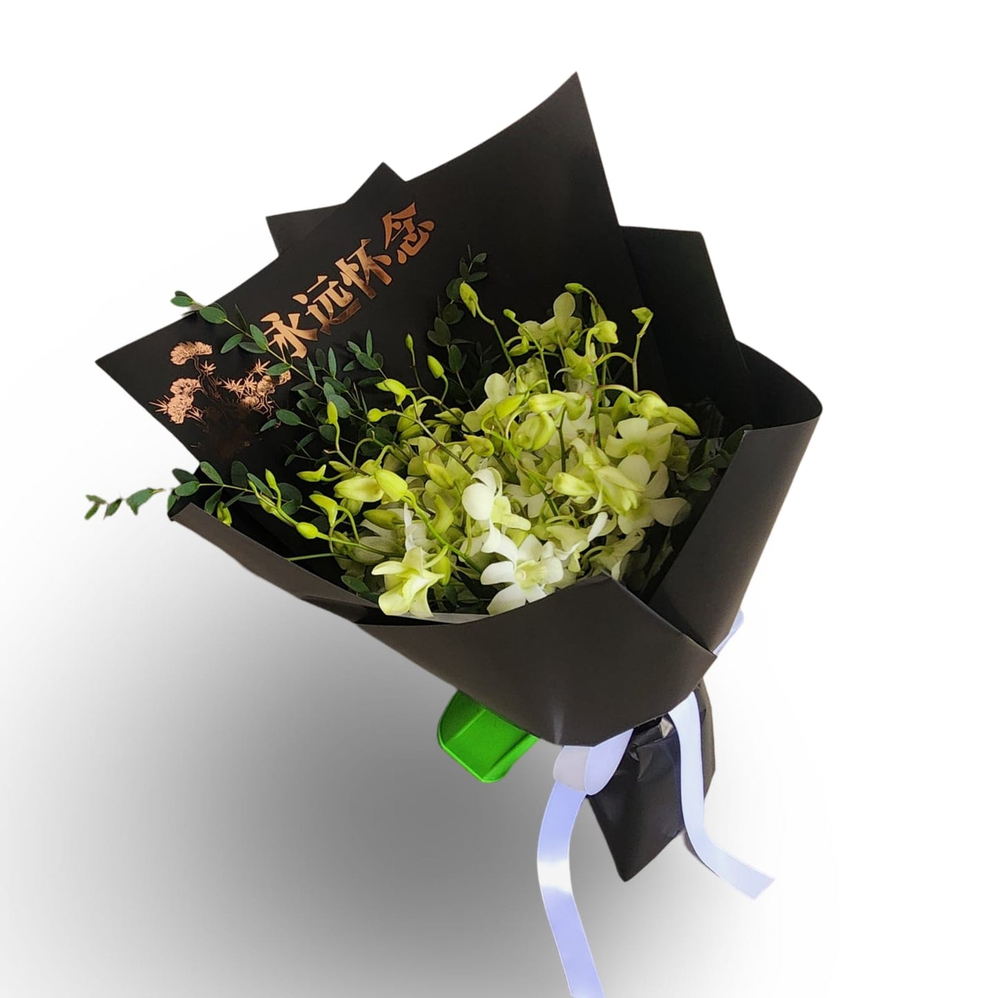 White peaceful Orchid - Flowerplus.Co