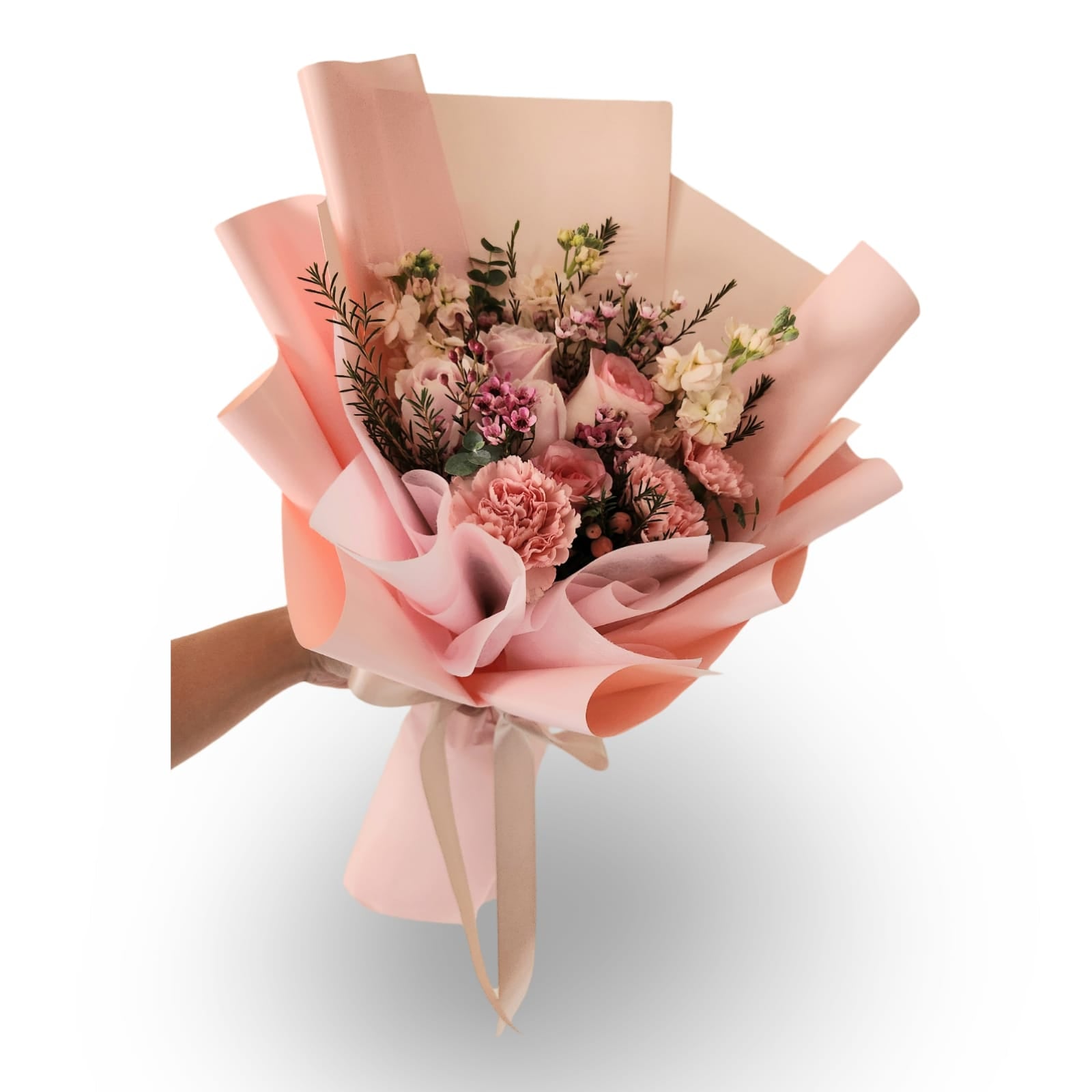 Sakura Bloom - Flowerplus.Co