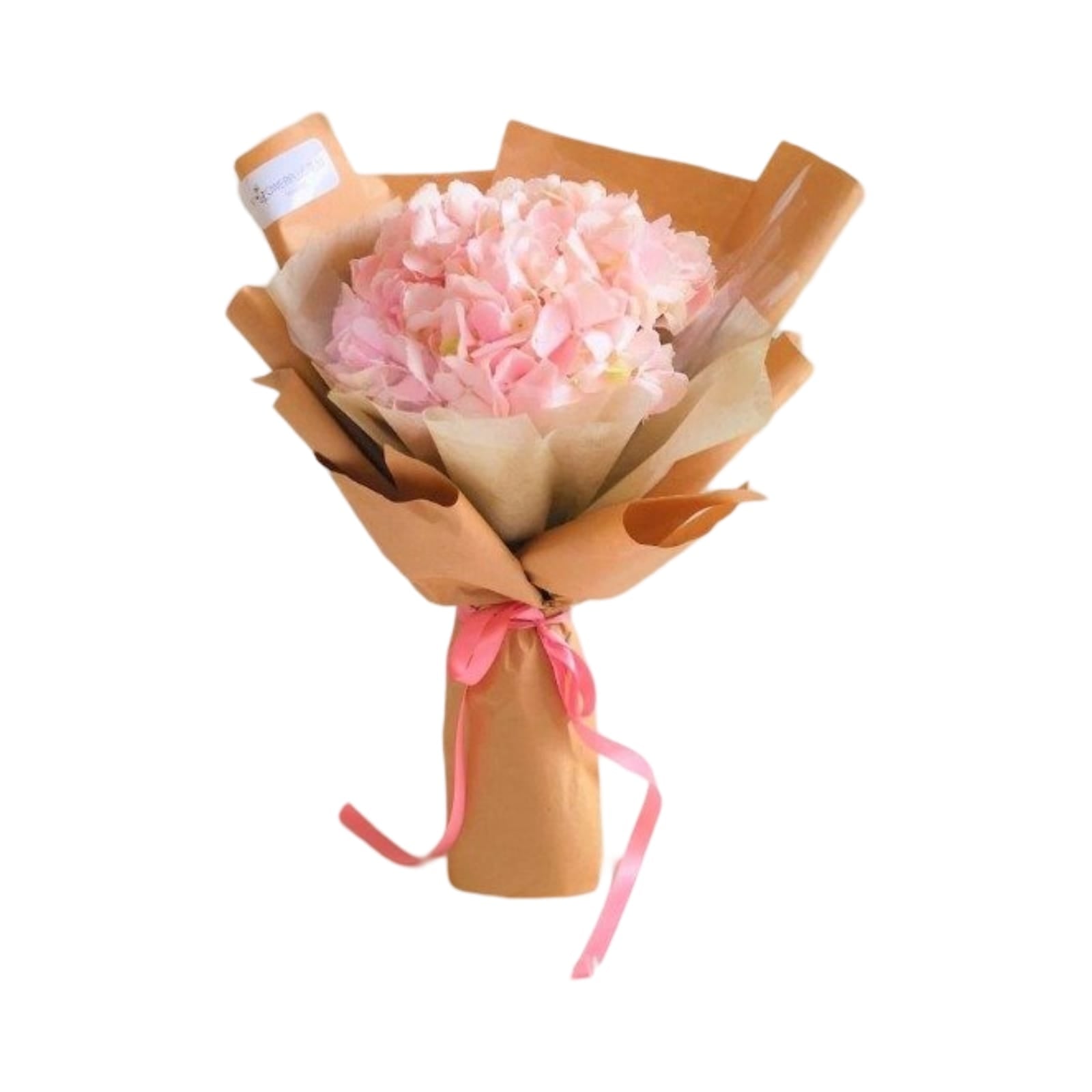 Conducting Hearts - Flowerplus.Co