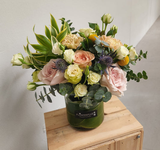 Bambino Yellow - Flowerplus.Co