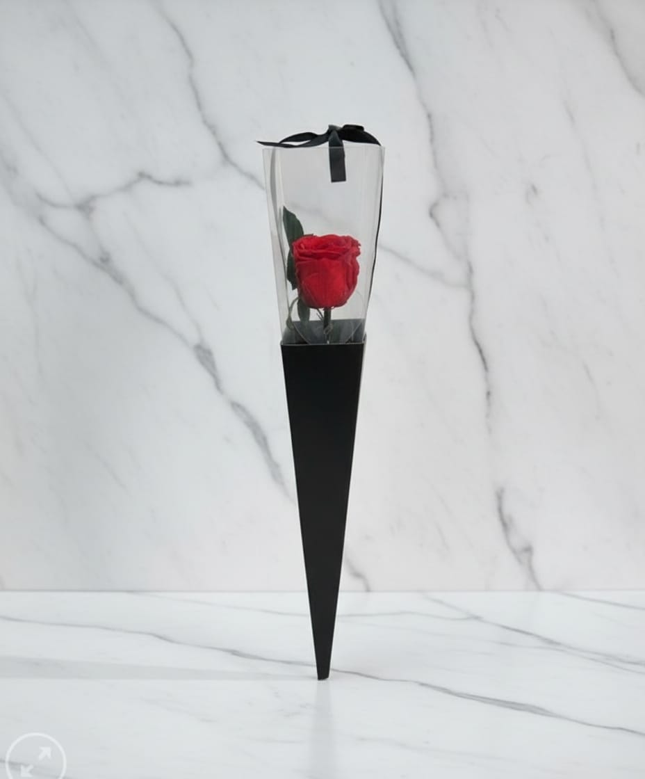 Mine One and Only - - Be My Valentine's