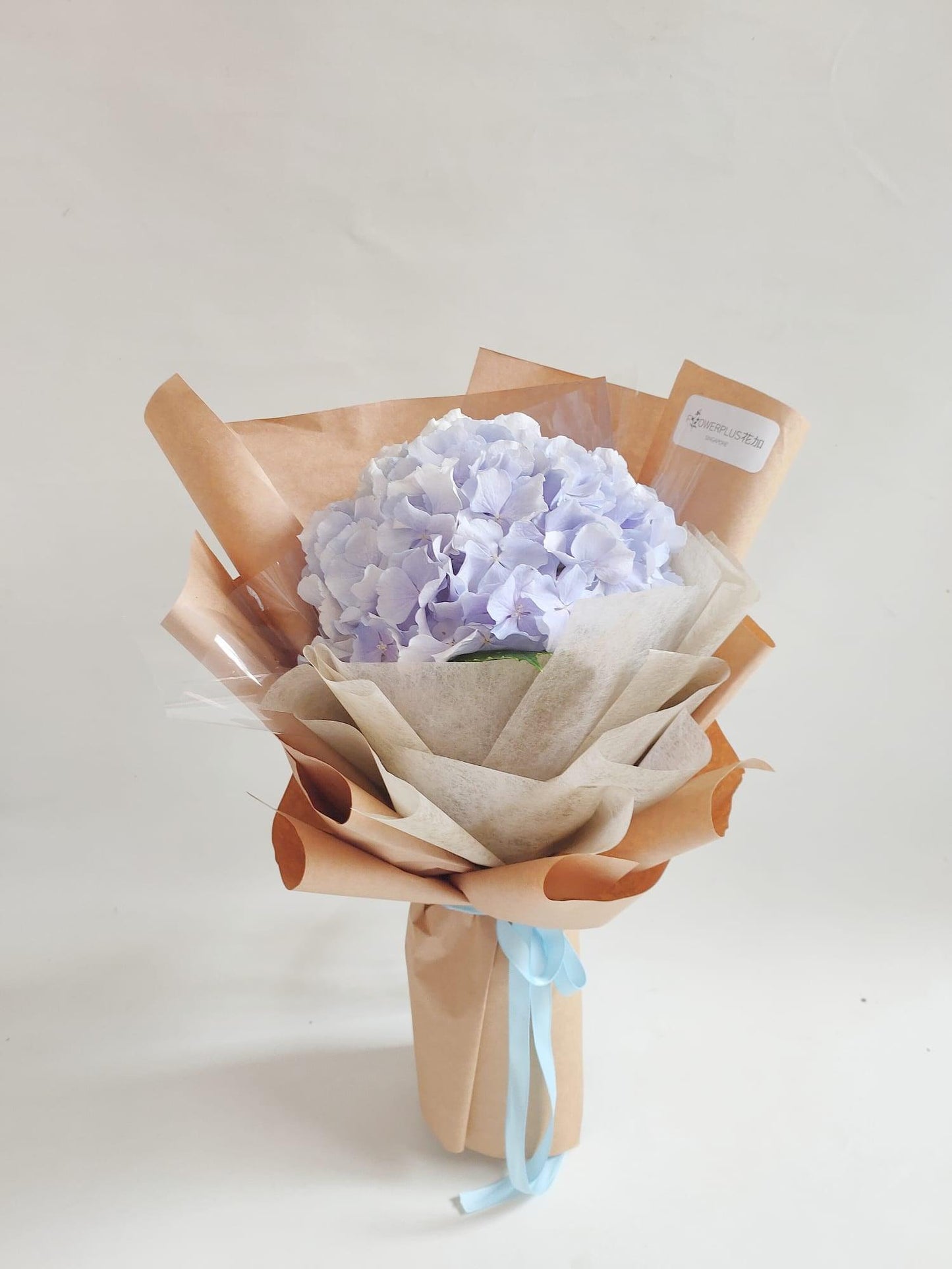 Single Hydrangrea Bouquet - Flowerplus.Co