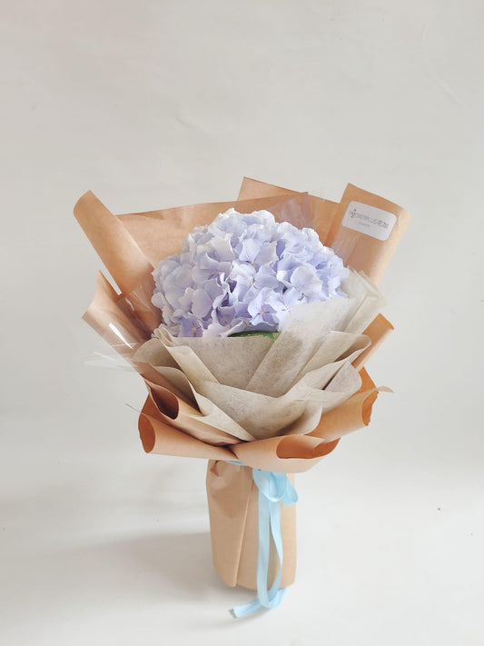Single Hydrangrea Bouquet - Flowerplus.Co