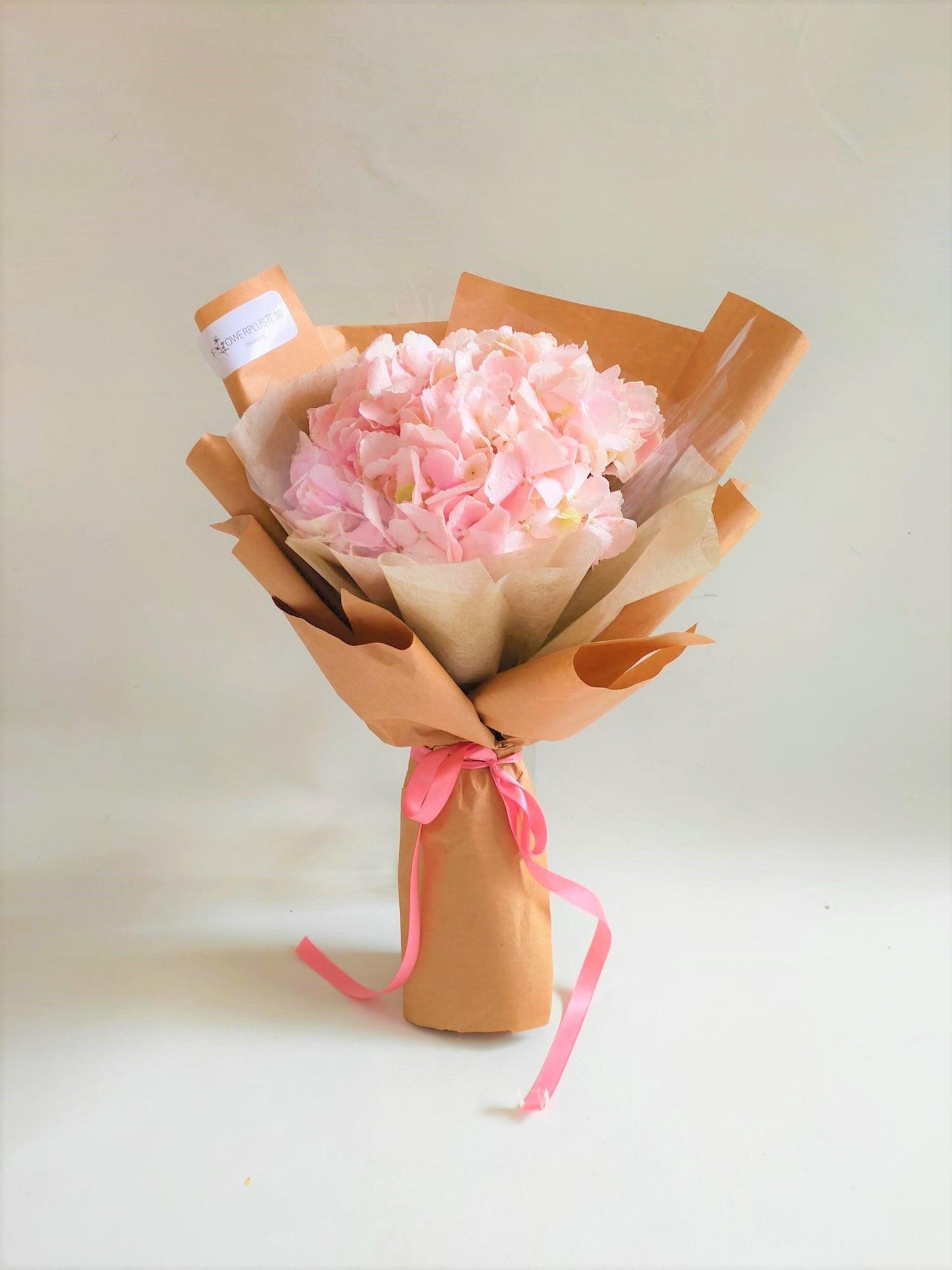 Single Hydrangrea Bouquet - Flowerplus.Co