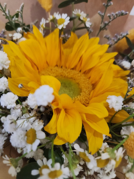 Sunny daisy - Self Collections - Flowerplus.Co