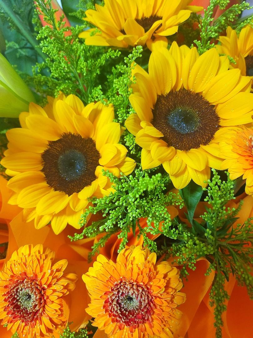 Triumphant Grand Opening Flowers - Flowerplus.Co