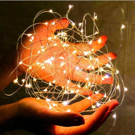 Fairy Lights - Flowerplus.Co