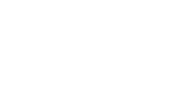 Flowerplus.Co