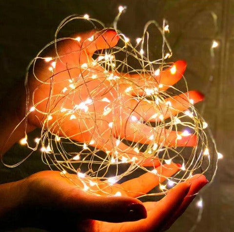 Add on - Fairy Lights - Flowerplus.Co