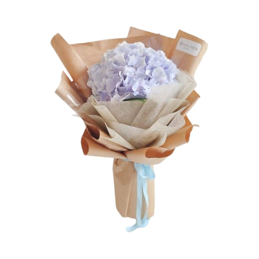 Conducting Hearts - Flowerplus.Co