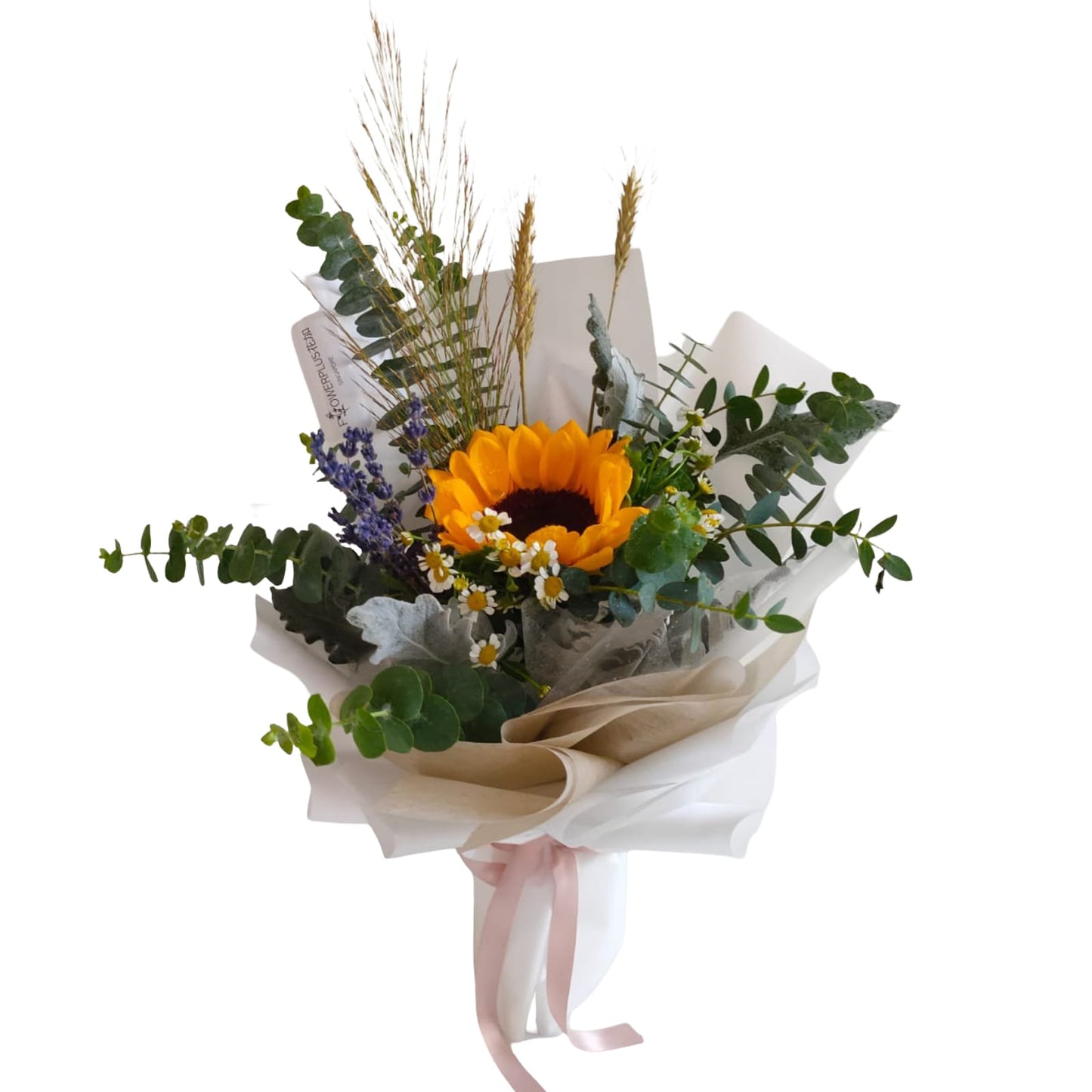 Champagne Sunflower Confession - SELF COLLECTION ONLY