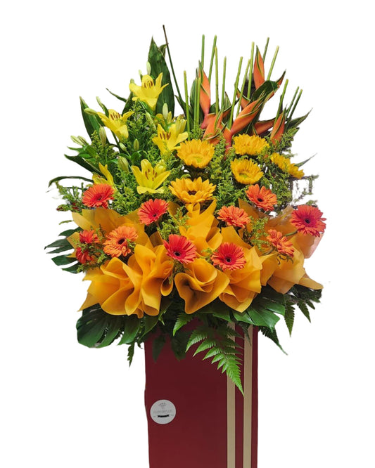 Triumphant Grand Opening Flowers - Flowerplus.Co