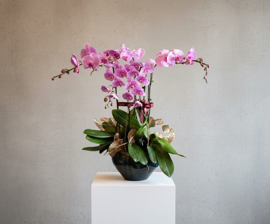 The Dark Purple Orchid ( 5 Single Stem )