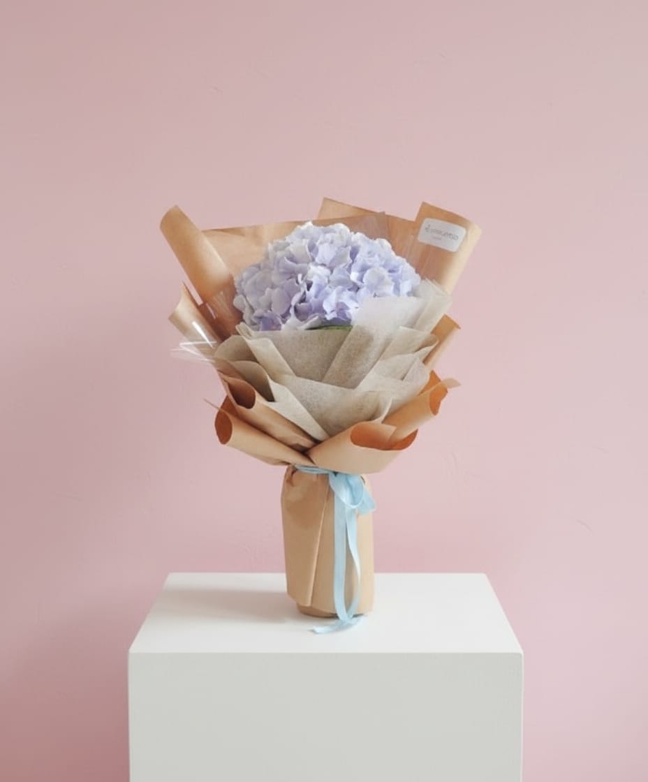 Conducting Hearts - Be My Valentine's